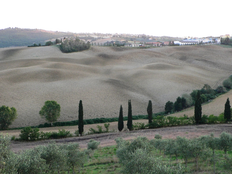 La Toscana.JPG